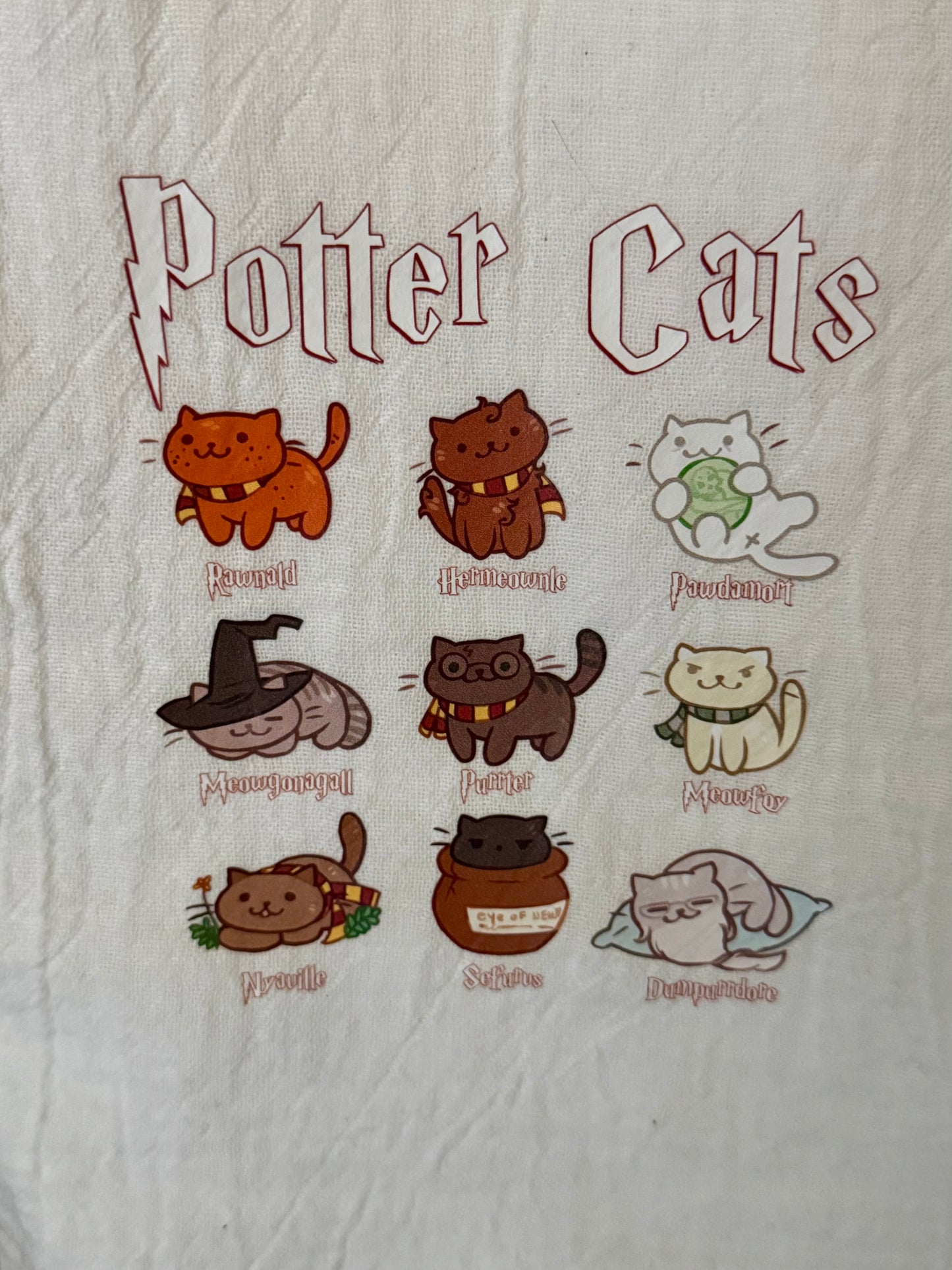 Wizard Cat Flour Sack Towel