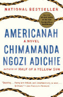 Cover of Americanah by Chimamanda Ngozi Adichie, featuring a stylized braid pattern, symbolizing the protagonist's journey and themes of identity.