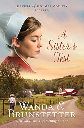 Cover of Wanda E. Brunstetter's novel A Sister's Test.