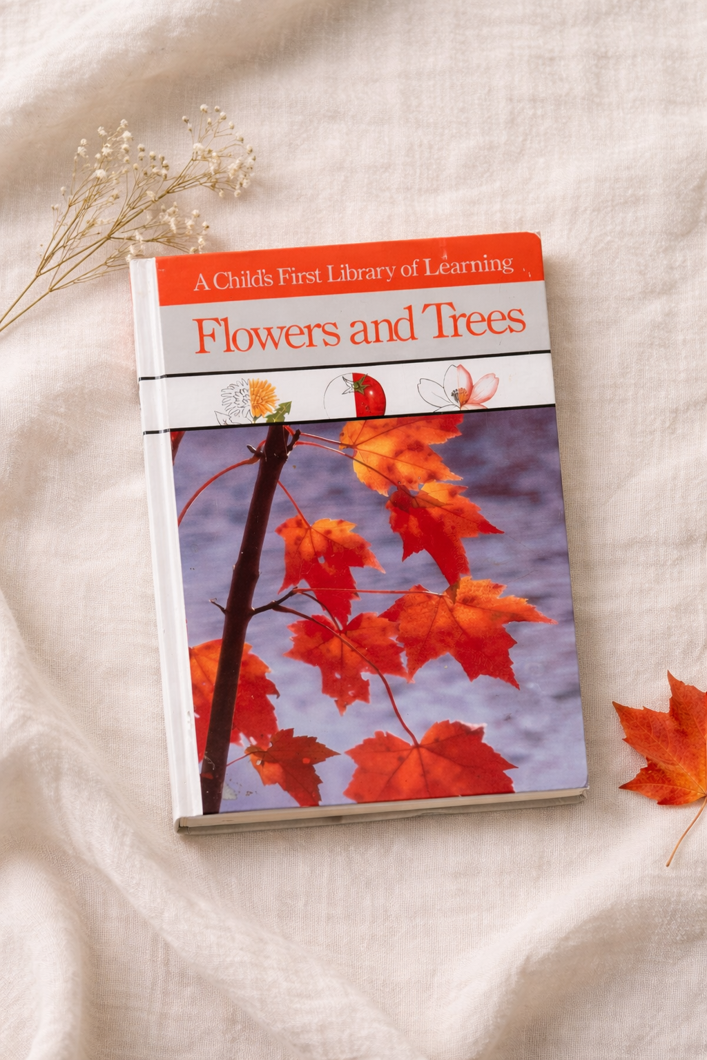 Cover of Flowers and Trees A Child’s First Library of Learning vintage children’s nature book about plants and botany