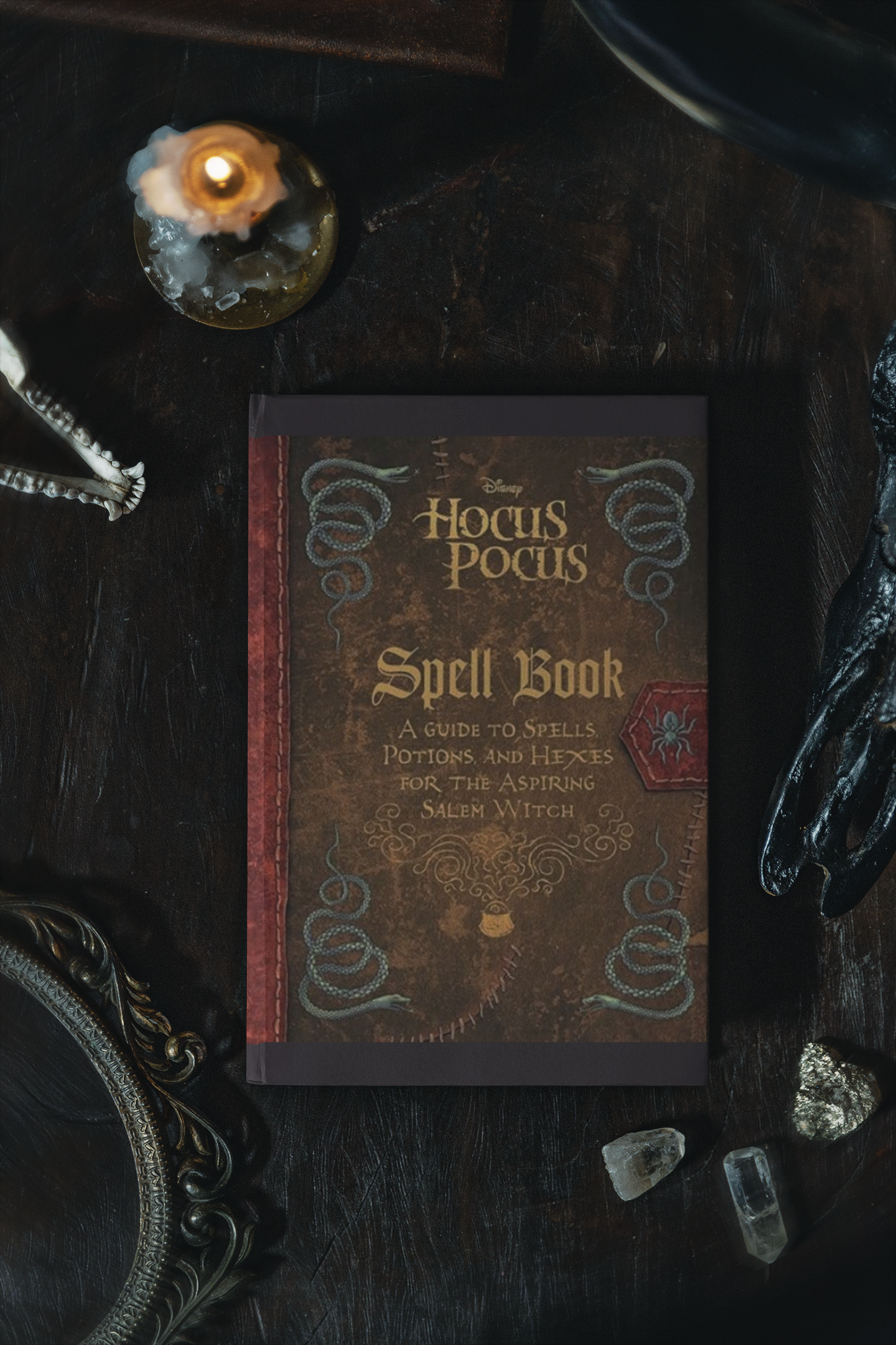 Cover of The Hocus Pocus Spell Book by Eric Geron, featuring an ornate design reminiscent of a classic witch's grimoire.