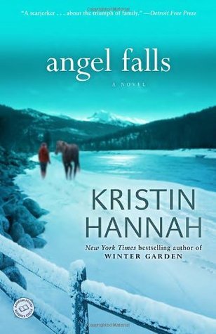 Angel Falls by Kristin Hannah displayed on a bookshelf.