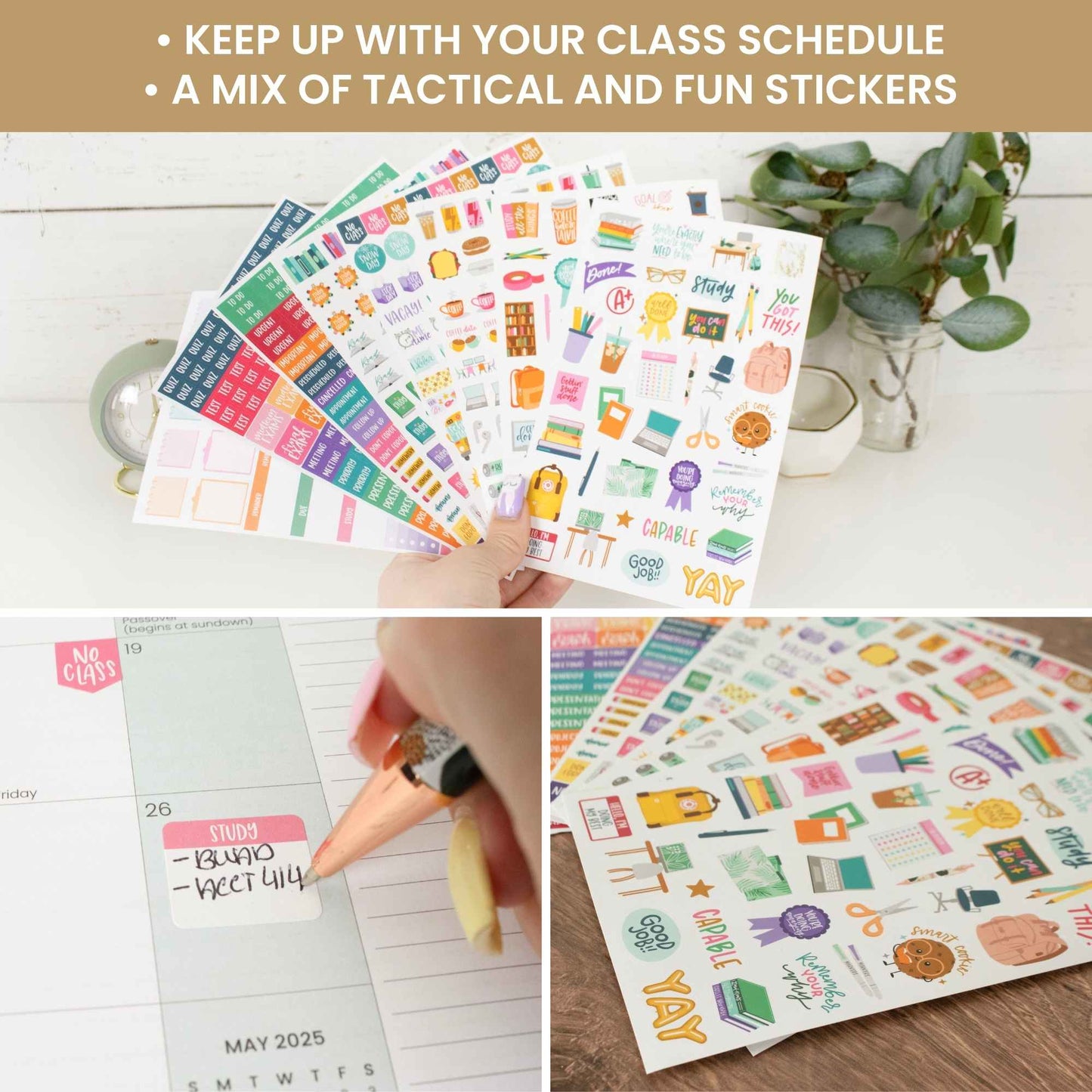 Student sticker pack featuring 8 sheets of hand-drawn icons and phrases for tracking assignments, projects, tests, and breaks—672 repositionable stickers in total.