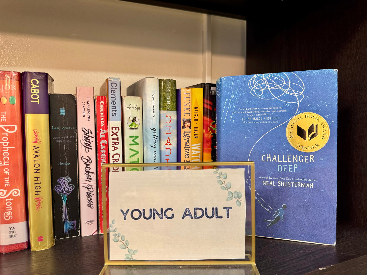 Young Adult (Fiction)