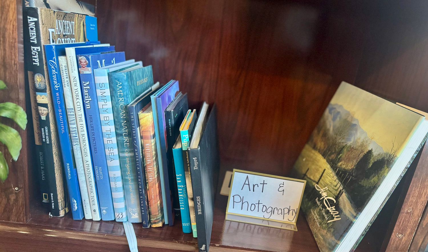 A colorful bookstore display featuring art and art history books arranged beside sketchbooks, paintbrushes in a jar, and a small framed print, with bright, creative décor.
