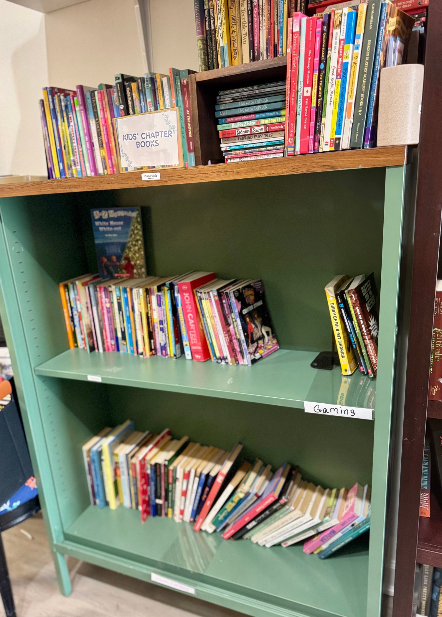 Chapter Books Grades 3-5 (Non-Fiction)