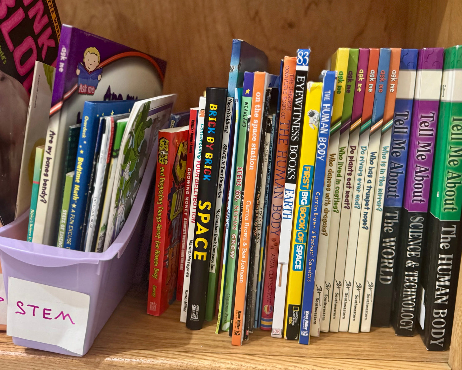 A bright children’s bookstore display featuring STEM-themed books about science, space, robots, engineering, and math, arranged with playful décor like magnifying glasses and building blocks.
