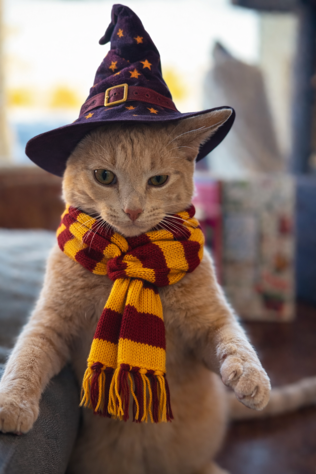A cozy bookstore corner featuring a ginger cat lounging among books, surrounded by cat-themed merchandise like mugs, shirts, and tote bags with warm golden light filtering in.