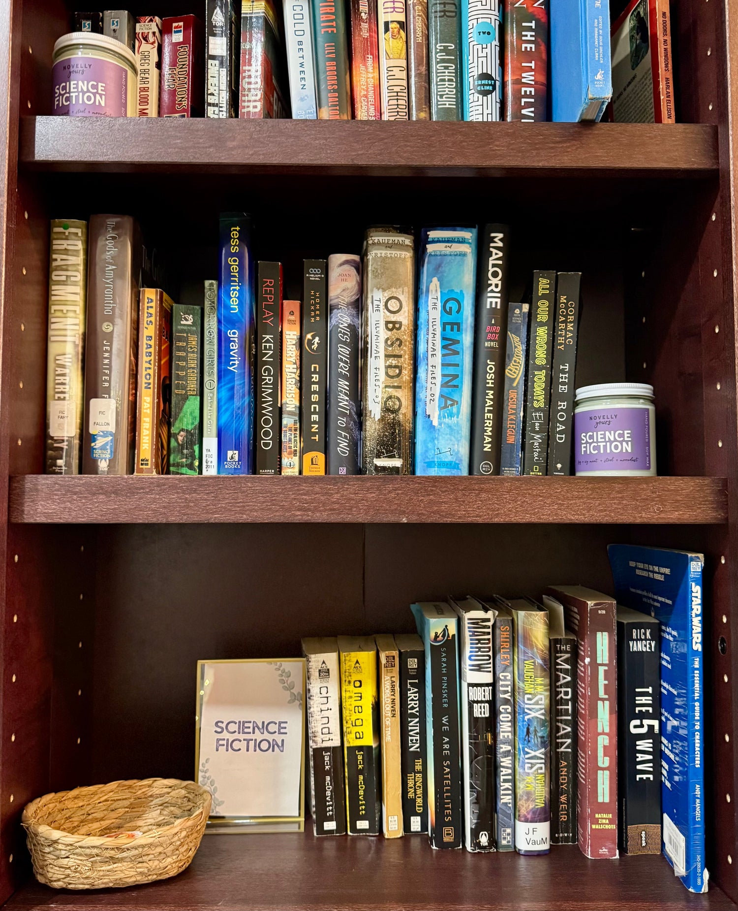 Science fiction book selection at The Burrow