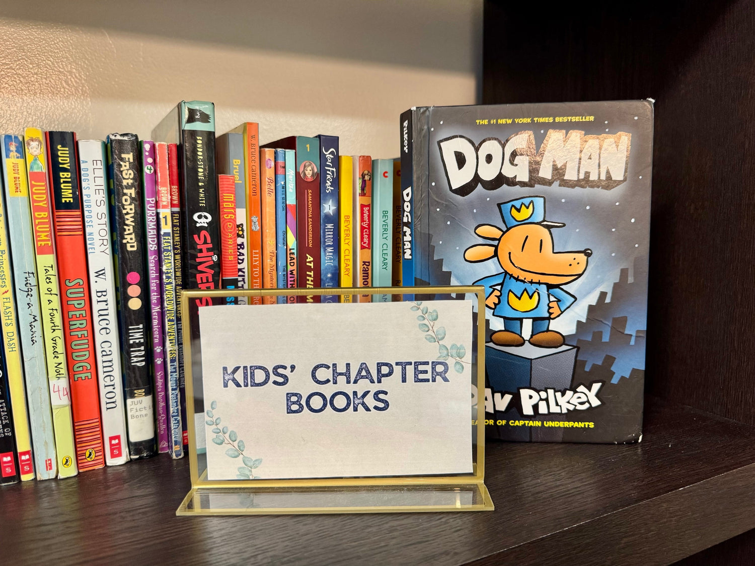 Chapter Books (Fiction)