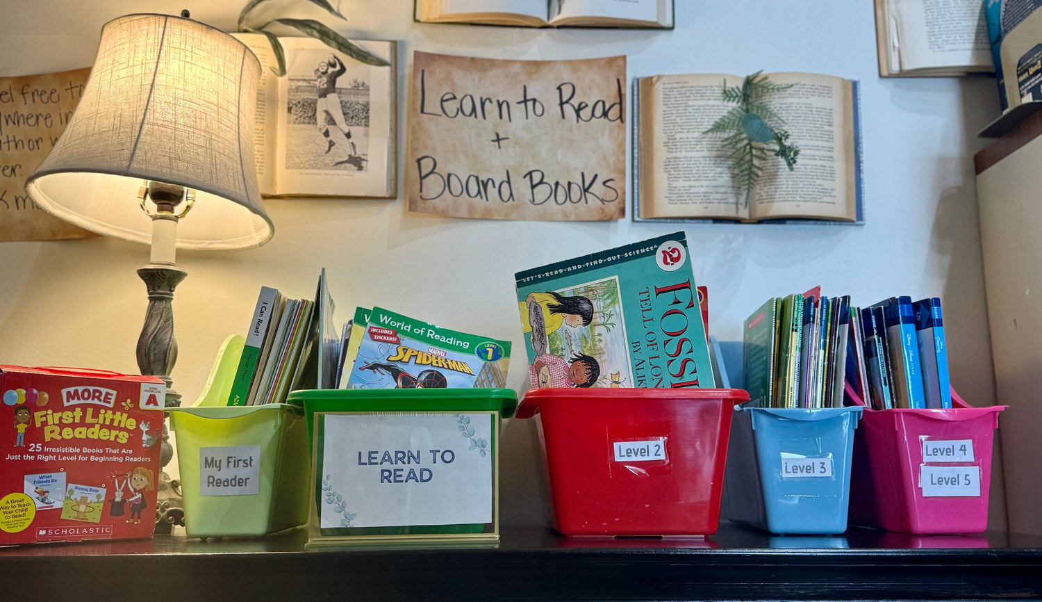 Learn to Read / Step Into Reading