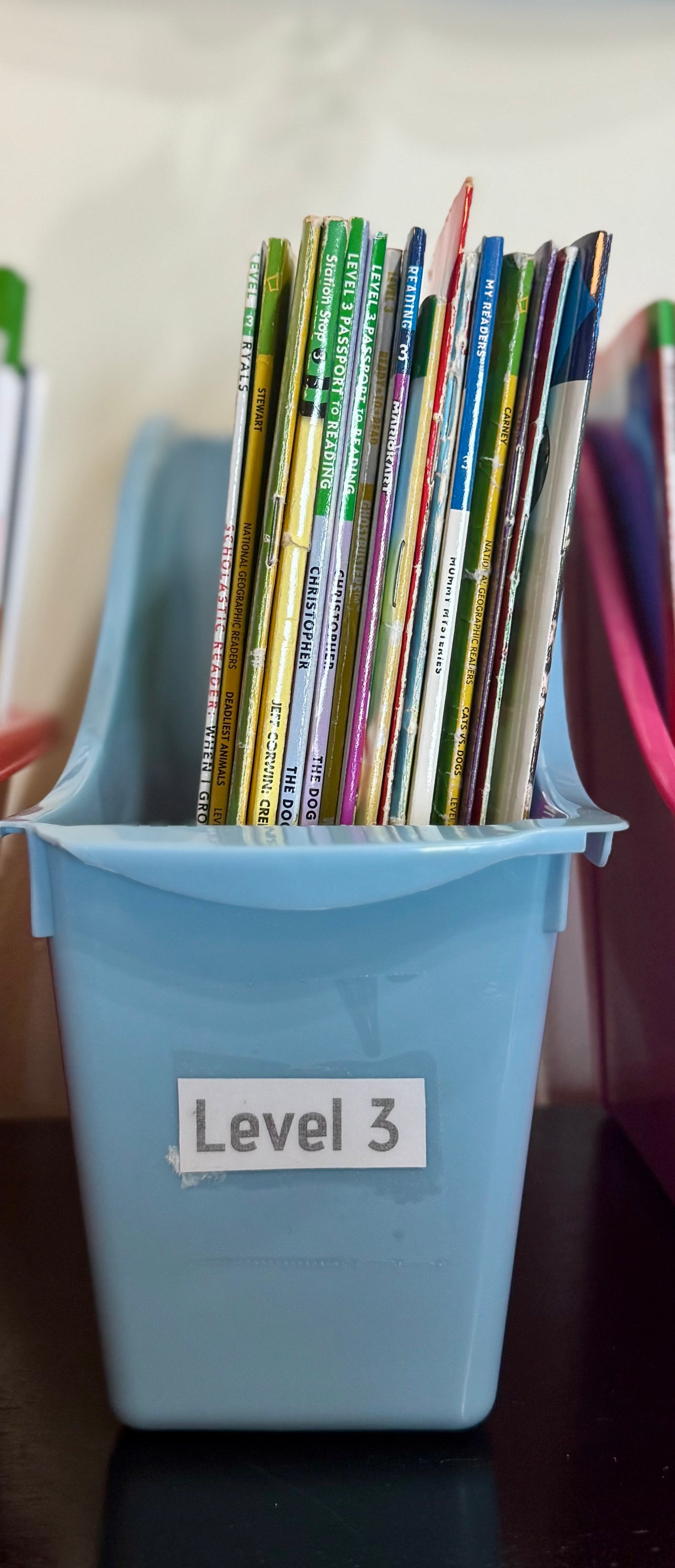 Learn to Read - Level 3 – The Burrow Bookstore