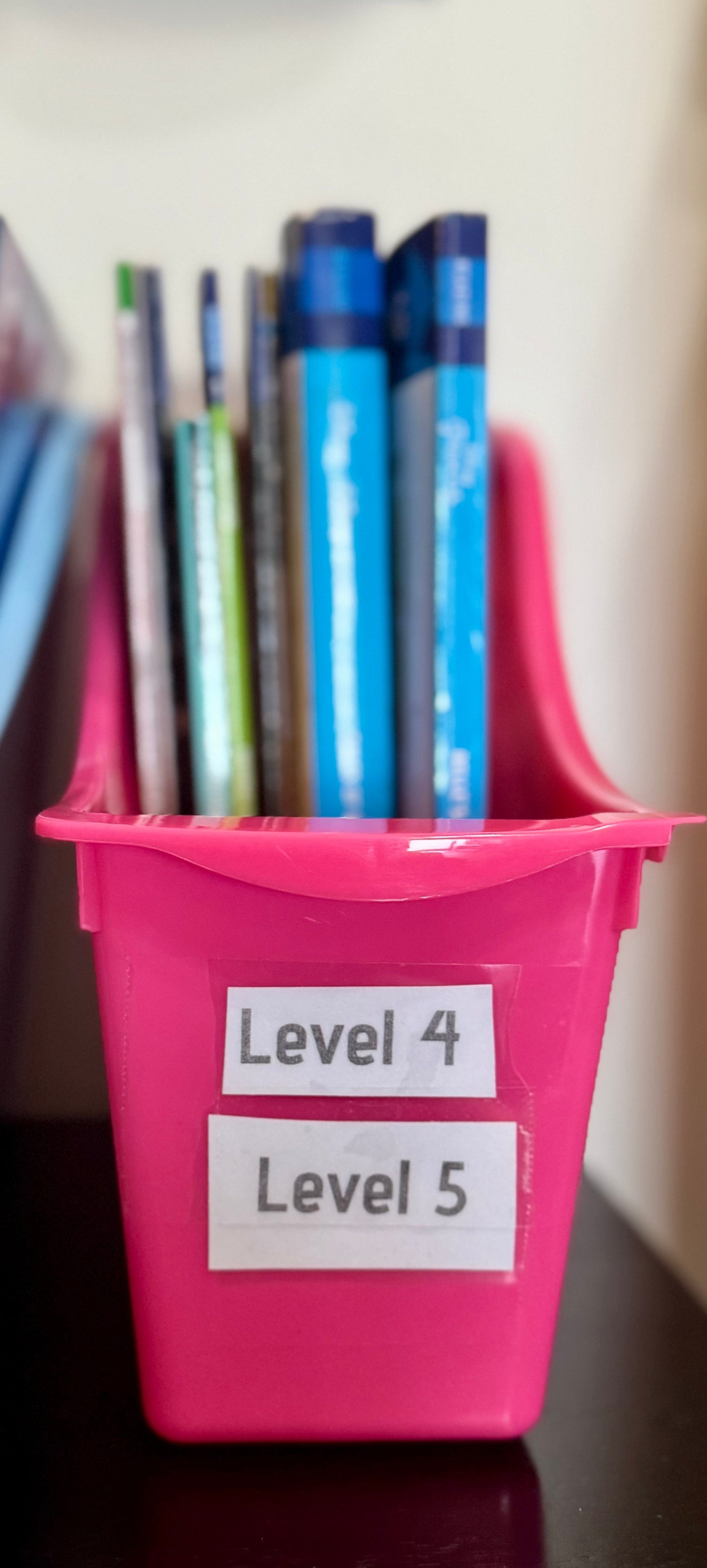Level 5
