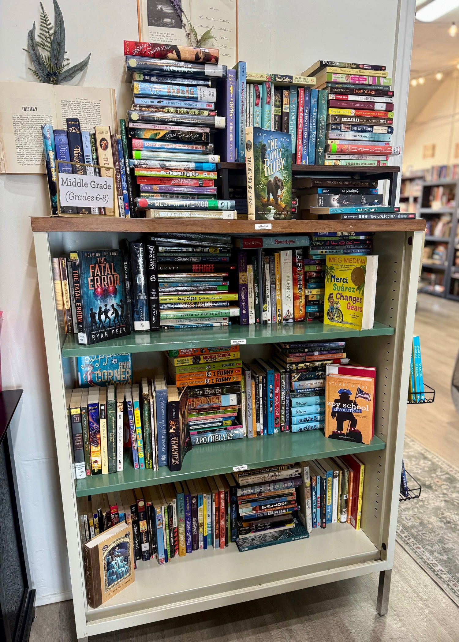 Middle Grade Chapter Books 6-8 (Non-Fiction)