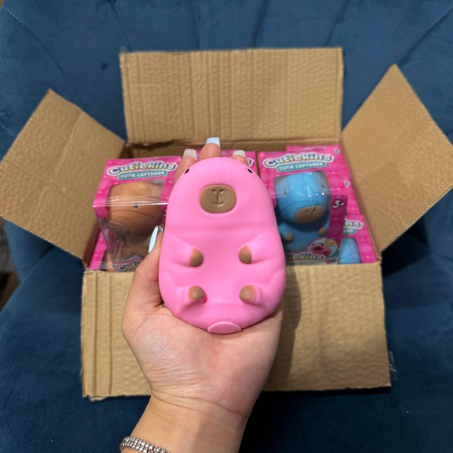 Sand Stretchy Capybara Toy