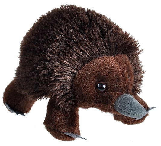 Hug'Ems-Mini Echidna Stuffed Animal 7"