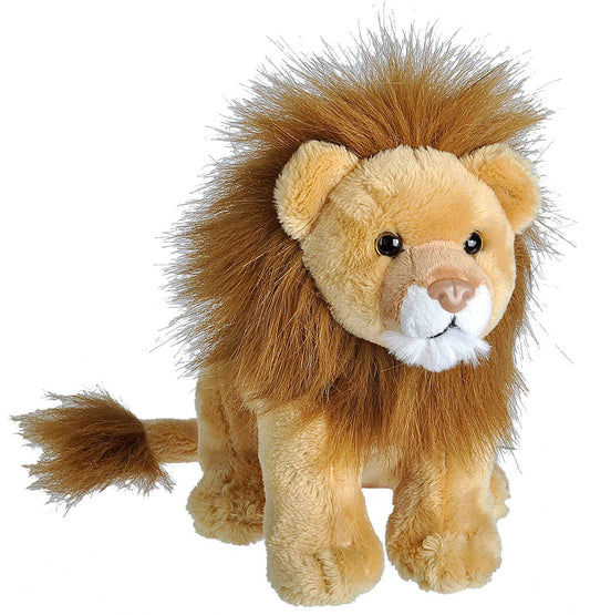 Plushie: Lion, 8" Wildlife Companion by Wild Republic