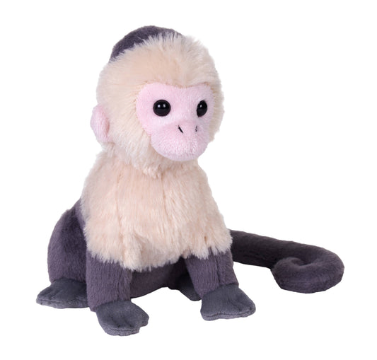 Plushie: White Face Capuchin, 6" Wildlife Companion by Wild Republic