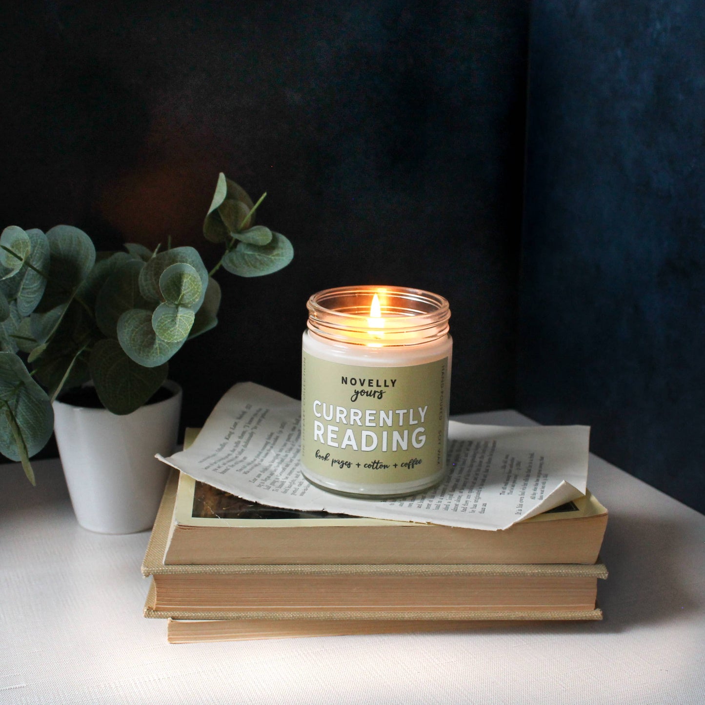 Candle, Hand-Poured Soy: Currently Reading