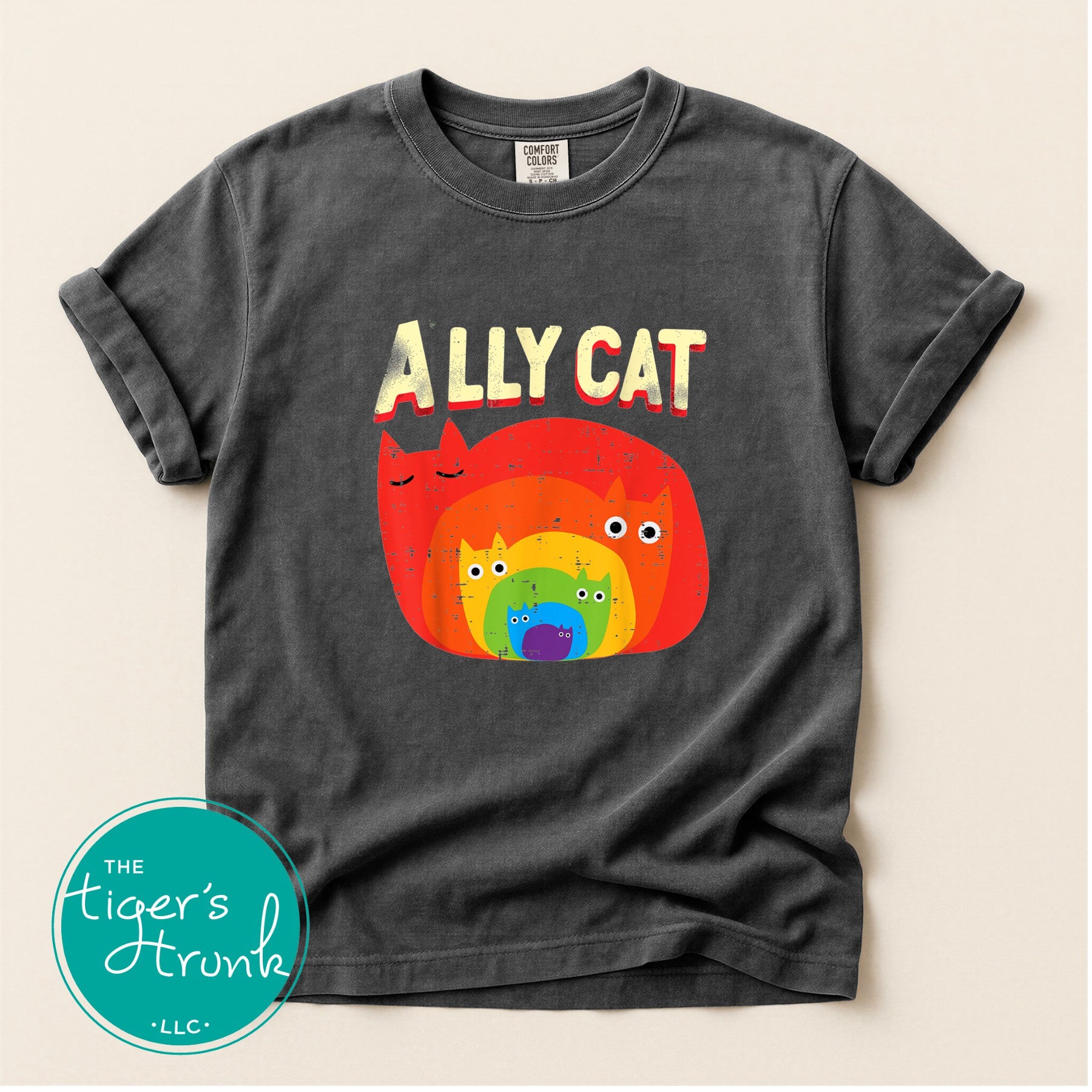 Pepper gray Ally Cat rainbow cat graphic t-shirt flatlay with distressed rainbow cat design