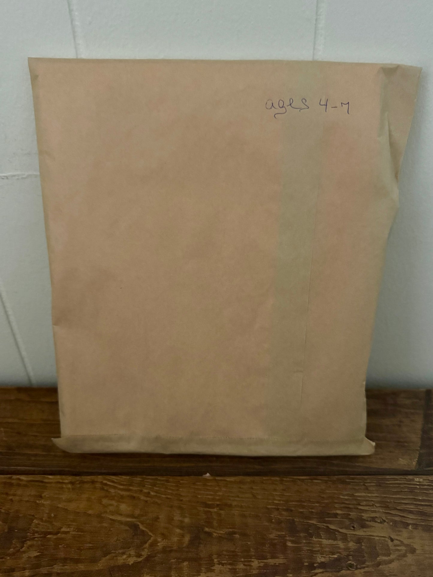 Brown bookish surprise bag containing assorted small bookish items and cozy mystery treats for readers.