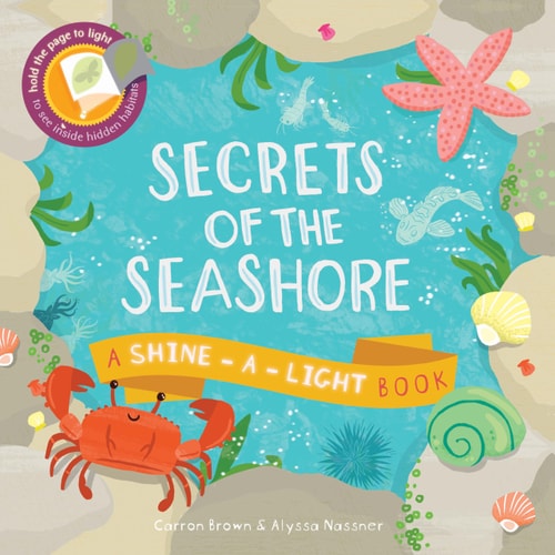 Cover of Secrets of the Seashore by Carron Brown interactive lift the flap children’s book about ocean and beach life