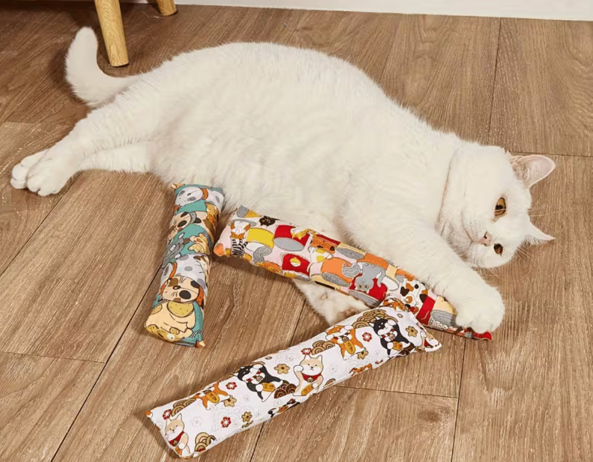 White cat playing with fabric cat chew toy pillow kicker toy