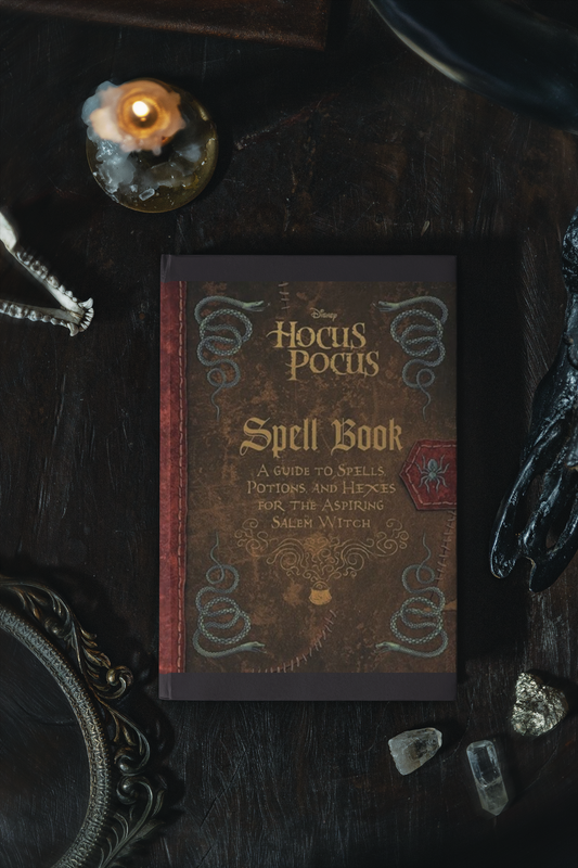 Fantasy | Halloween | Young Adult: Geron, Eric - Hocus Pocus Spell Book