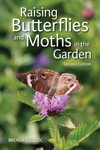 Cover of Raising Butterflies and Moths in the Garden by Brenda Dziedzic guide to pollinator gardening and insect life cycles