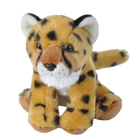 Plushie: Cheetah Baby, 6" Wildlife Companion by Wild Republic