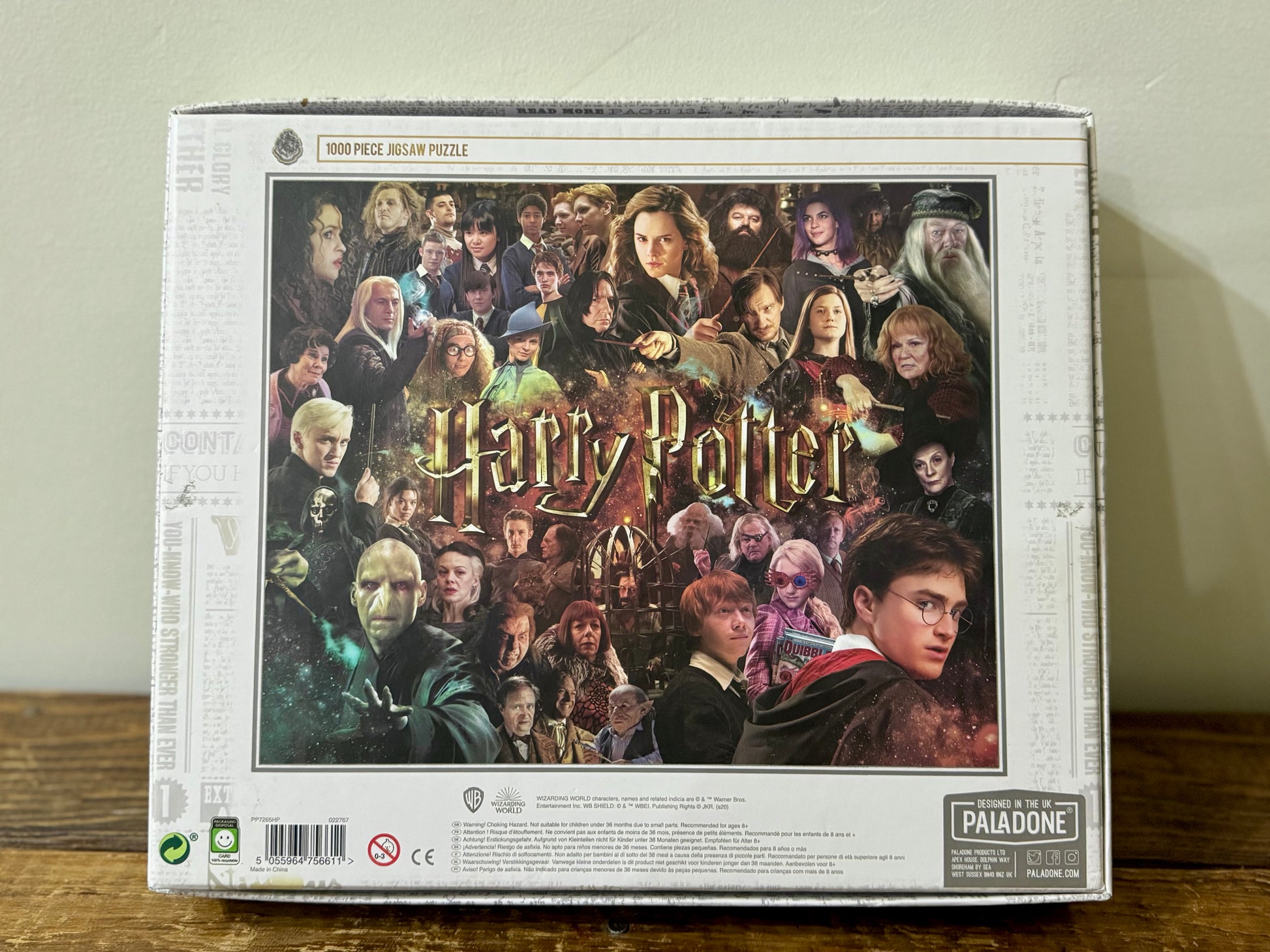A 1000-piece Harry Potter puzzle featuring an intense illustration of You-Know-Who with dark magic swirling around him. A challenging and immersive jigsaw for fans of the Wizarding World.