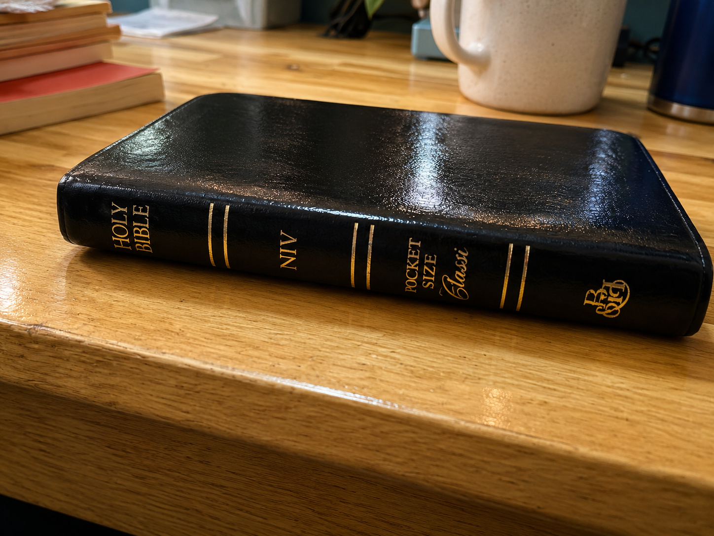 Spine view of a 1995 NIV Pocket Size Classic Edition Holy Bible showing gold-stamped title and compact portable design.