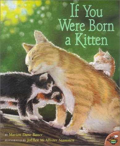 Cover of If You Were Born a Kitten by Marion Dane Bauer, a children's nonfiction picture book exploring kitten growth, animal life cycles, early learning, and the development of young cats.