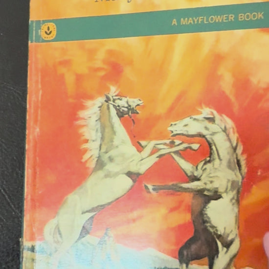 Vintage 1967 first Dell printing of Thunderhead by Mary O'Hara featuring dramatic horse-themed cover artwork