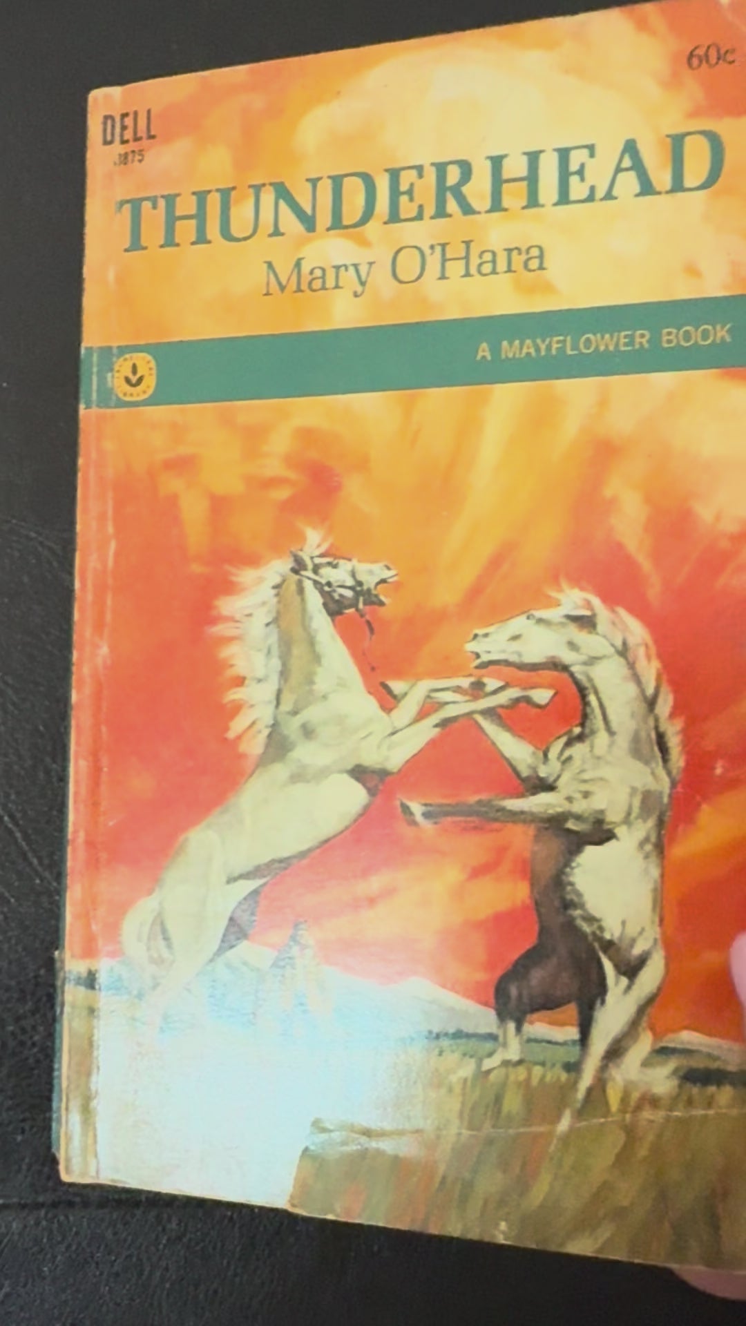 Vintage 1967 first Dell printing of Thunderhead by Mary O'Hara featuring dramatic horse-themed cover artwork