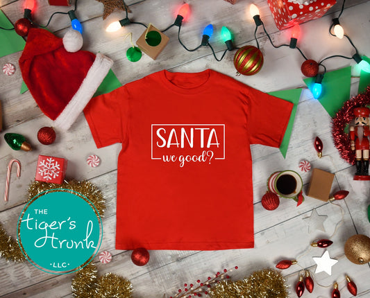Children’s Christmas shirt with the phrase Santa We Good? printed on the front, holiday-themed kids apparel