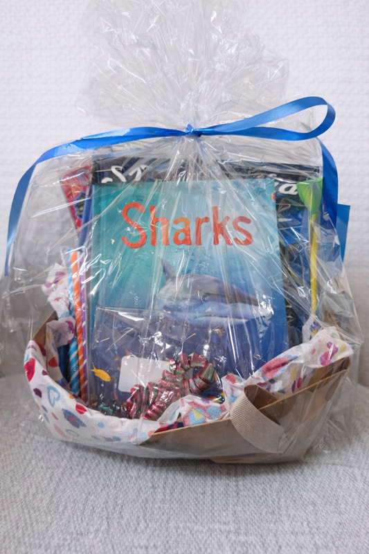 Shark-themed gift basket with educational shark book, ocean learning materials, and kid-friendly items wrapped in clear gift wrap with blue ribbon
