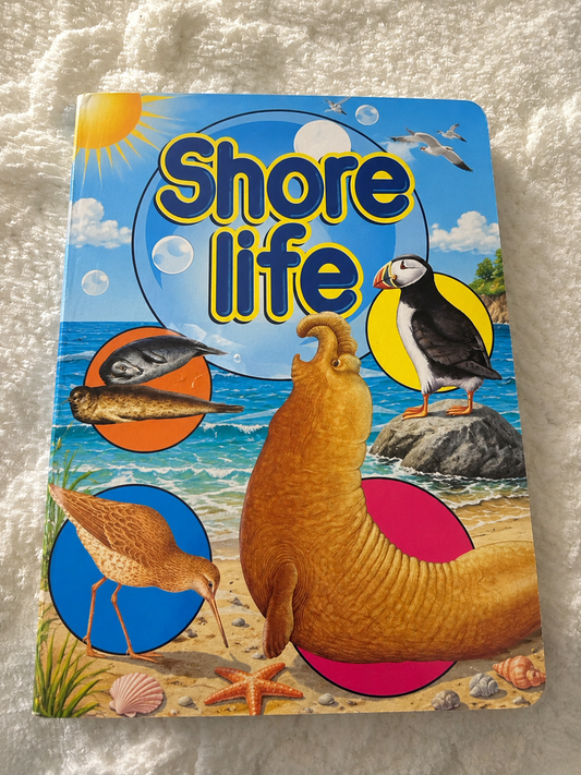 Cover of Shore Life by Moira Butterfield, a children’s nonfiction educational book about ocean habitats, marine animals, and seashore ecosystems.