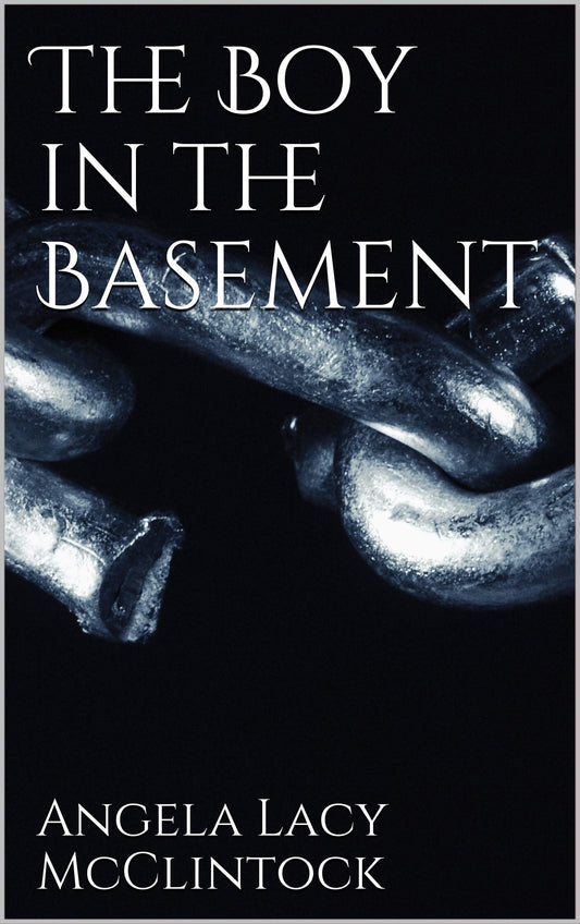 Cover of The Boy in the Basement by Angela Lacy McClintock, a psychological thriller centered on child protective services investigations and child advocacy.