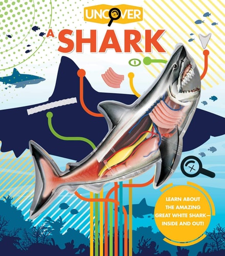 Uncover a Shark by David Gordon interactive children’s book with lift the flap features about sharks and ocean life
