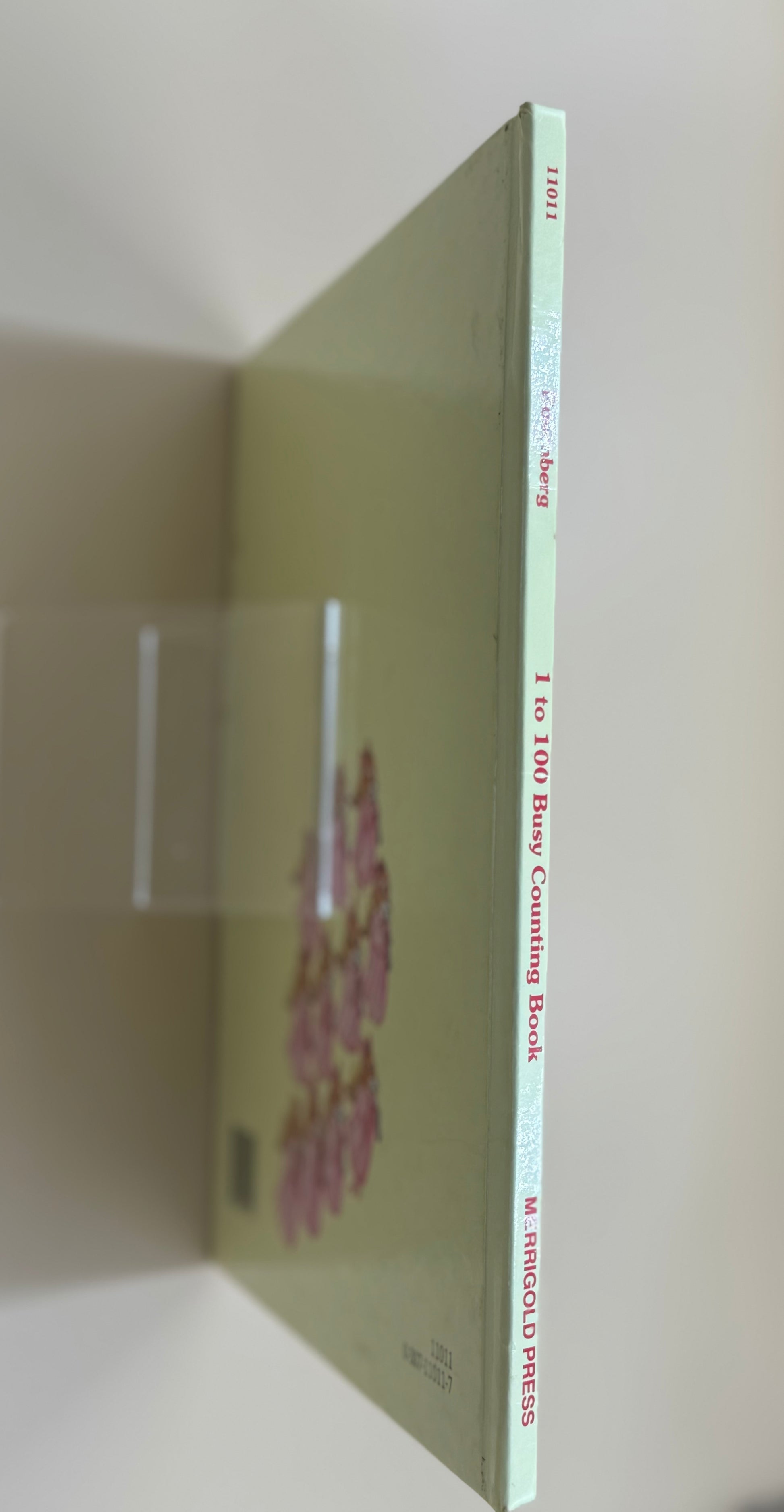 Book with a green cover and white text on a white background